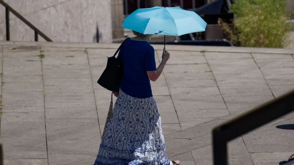 Asphaltierte Städte heizen sich bei hohen Temperaturen besonders stark auf. - © Henning Kaiser/dpa