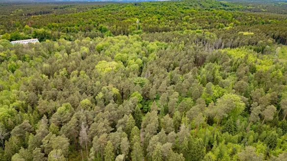 Tod einer 21-J&auml;hrigen im Wald - Ermittlungen gegen Jugendlichen wegen Totschlags - &copy; Robert Michael/dpa