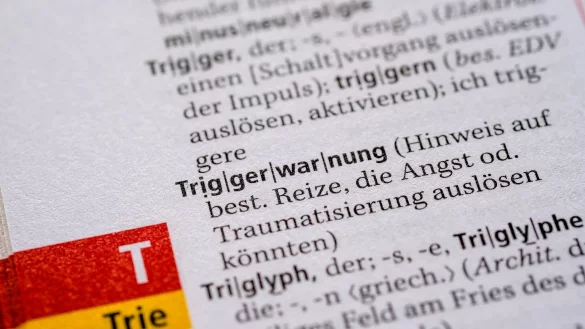 Triggerwarnungen sollen dabei helfen, Reizen bewusst wahrzunehmen oder zu vermeiden, die an traumatische oder unangenehme Situationen erinnern. (Archivbild) - &copy; Jens Kalaene/dpa