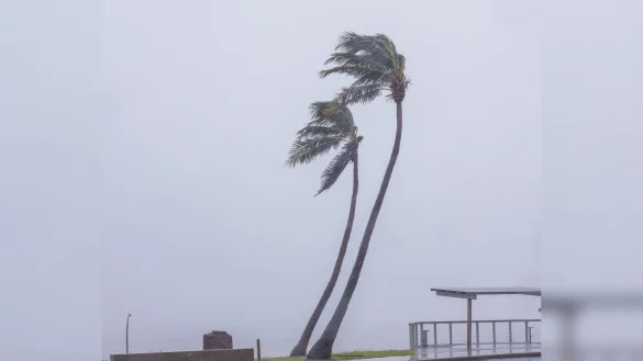 Die Behörden befürchten schwere Schäden durch «Zelia». - © Uncredited/TRACEY HEIMBERGER/AAP/dpa