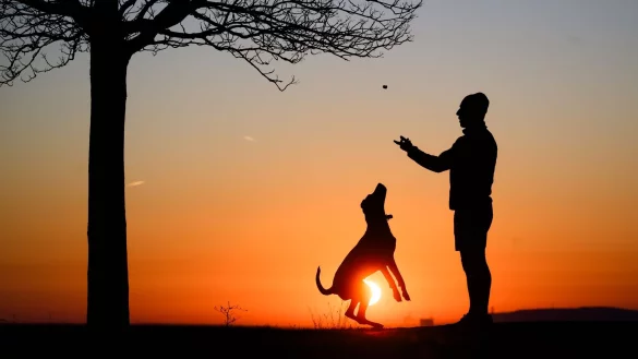 Hund statt Kind? Ganz so einfach ist es nicht. - &copy; Julian Stratenschulte/dpa