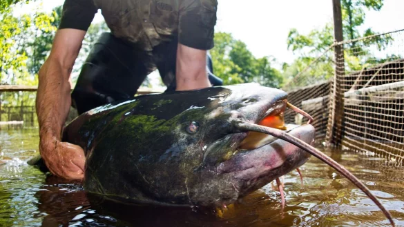 Die Ermittlungen könnten in ein paar Wochen abgeschlossen sein. - © Patrick Pleul/dpa-Zentralbild/dpa