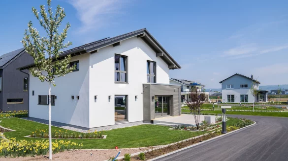 Fertigh&auml;user im Schwarzwald. - &copy; Benedikt Spether/dpa