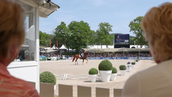 Die deutschen Meisterschaften der Spring- und Dressurreiter finden in Balve statt. - &copy; Friso Gentsch/dpa