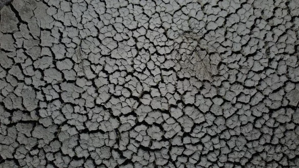 Extreme Dürren gibt es in vielen Ländern der Welt - sogar im Regenwald. (Archivbild) - © Rick Bowmer/AP/dpa