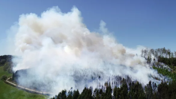 Der Klimawandel begünstigt Waldbrände laut Experten auch in NRW. (Archivbild) - © Berthold Stamm/dpa