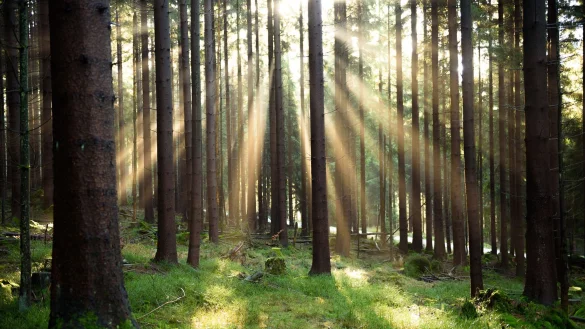 Atom und Gas als gr&uuml;ne Investition? Das EU-Gericht hat &uuml;ber ein EU-Label f&uuml;r nachhaltige Finanzprodukte entschieden. (Symbolbild) - &copy; Nicolas Armer/dpa/dpa-tmn