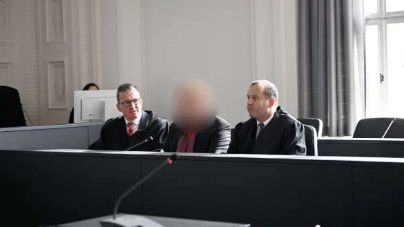 Ein langwieriger Prozess um die Insolvenz des Wismarer Holzverarbeiters German Pellets ist zu Ende. Der angeklagte Geschäftsführer zeigte sich - in Teilen - geständig. - © Philip Dulian/dpa