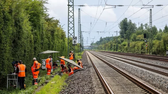Nach einem Anschlag werden Kabel repariert. (Archivbild) - &copy; Christoph Reichwein/dpa