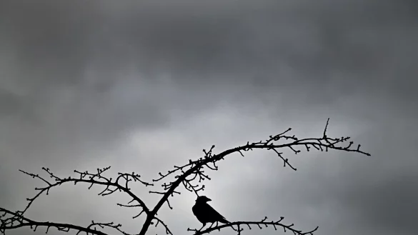 Der Deutsche Wetterdienst erwartet f&uuml;r die n&auml;chsten Tage tr&uuml;bes Winterwetter in NRW. (Symbolbild) - &copy; Federico Gambarini/dpa