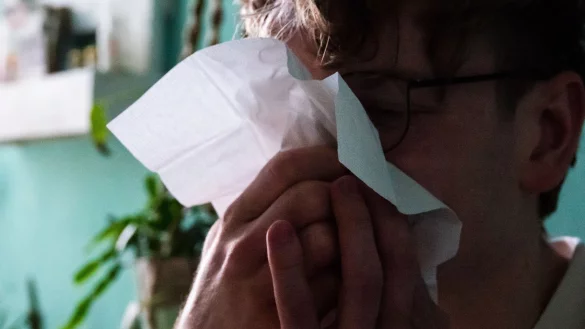 Für eine Grippe typische ist oft ein plötzlicher Erkrankungsbeginn mit Fieber, Muskel- oder Kopfschmerzen (Symbolbild). - © Philip Dulian/dpa