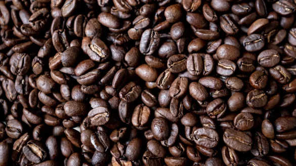 Insbesondere nachhaltige Produkte waren vergangenes Jahr gefragt. (Symbolbild) - © Fabian Sommer/dpa