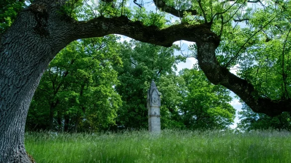 Der Park des Schlosses Rosenau bei Coburg in Bayern. - &copy; Pia Bayer/dpa