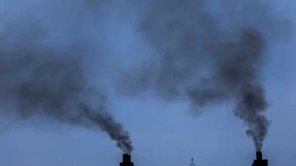 Die CO-Emissionen von Containerschiffen in der EU sind gestiegen. (Symbolbild) - © Jens Büttner/dpa