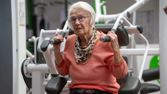 Im Sessel sitzen - das ist f&uuml;r Lord gar nichts (Archivbild) - &copy; Harald Tittel/dpa