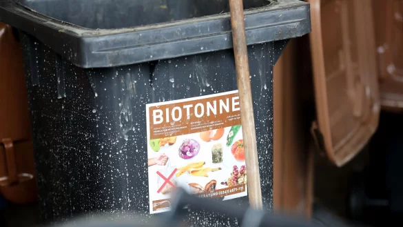 Was darf rein, was nicht? Auf keinen Fall Plastik, Glas, Alufolie und Konservendosen. - &copy; Jan Woitas/dpa-Zentralbild/dpa