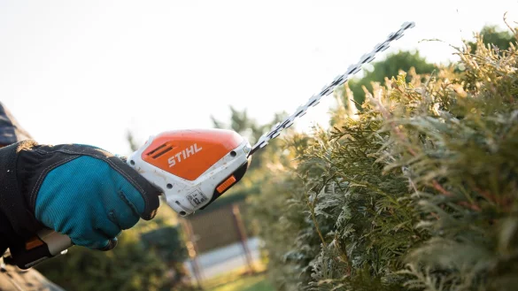 Unterschlupf und Brutstätte von Wildtieren: Vom 1. März bis 30. September dürfen bestimmte Gehölze nicht zurückgeschnitten oder entfernt werden. - © Christin Klose/dpa-tmn