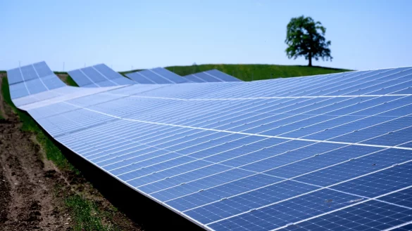 Solarparks wie dieser in der Nähe der Autobahn 95 in Bayern machen knapp ein Drittel der in Deutschland installierten Leistung aus. (Archivbild) - © Sven Hoppe/dpa