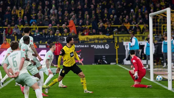 Laut DFB hätte das zweite Dortmunder Tor nicht zählen dürfen. - © Bernd Thissen/dpa