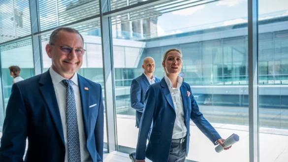 Die AfD-Chefs Tino Chrupalla (l.) und Alice Weidel können sich über einen spürbaren Anstieg ihrer Monatseinkünfte freuen. (Archivbild) - © Michael Kappeler/dpa
