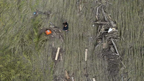 Hochwassersch&auml;den auf einem baden-w&uuml;rttembergischen Getreidefeld im Jahr 2024. Steigende Unwetter- und D&uuml;rregefahr bedeutend steigende Risiken f&uuml;r die deutsche Landwirtschaft. (Symbolbild) - &copy; Marijan Murat/dpa