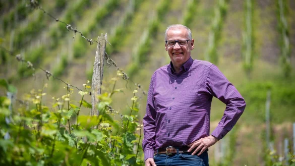 In den Weinbergen wächst ausschließlich Riesling. - © Harald Tittel/dpa