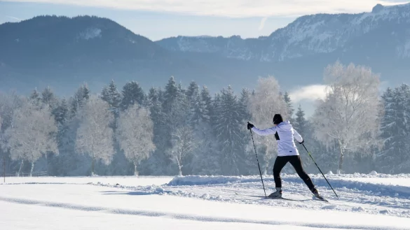 Skilanglauf ist schonender für die Gelenke und daher nach einem Eingriff schneller wieder möglich. - © Tobias Hase/dpa-tmn