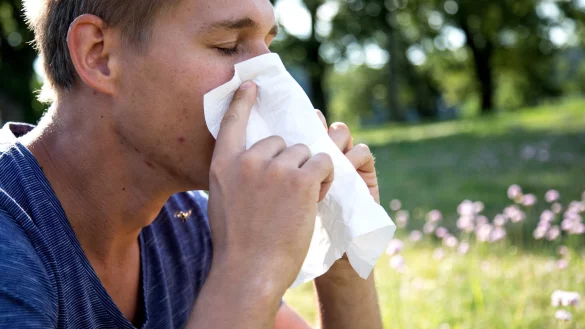 Heuschnupfen ist mehr als lästig: Bei starken Symptomen kann auch eine Krankschreibung gerechtfertigt sein. - © Christin Klose/dpa-tmn