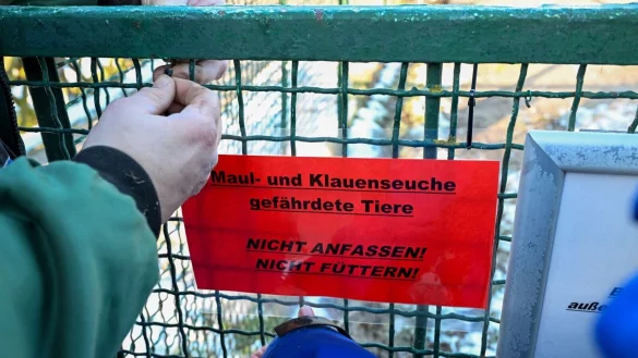 Großbritannien reagiert auf den Ausbruch der Maul- und Klauenseuche in Deutschland mit verschärften Regeln. - © Jens Kalaene/dpa