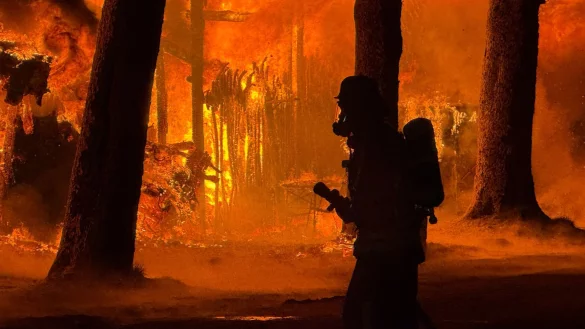 Feuer zerstört Lagerhalle auf Pferderennbahn in Krefeld. - © Alex Forstreuter/dpa