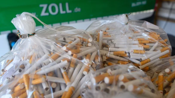 Beschlagnahmte Zigaretten aus illegalen Kan&auml;len. - &copy; Klaus-Dietmar Gabbert/dpa