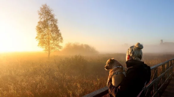 Der physiologische Tageszyklus des Menschen orientiert sich am Sonnenaufgang. (Archivbild) - © Thomas Warnack/dpa/dpa-tmn