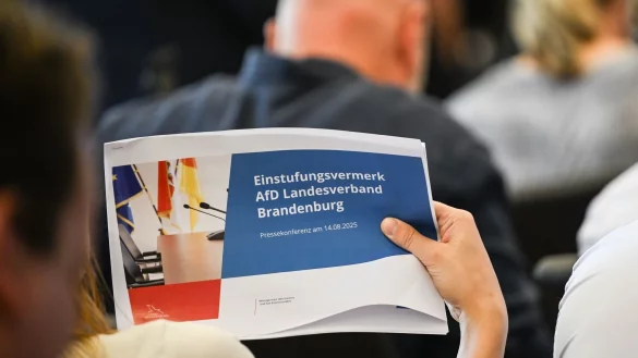 Das Gutachten zur Einstufung der AfD Brandenburg als gesichert rechtsextremistisch wurde am Donnerstag offengelegt. - &copy; Britta Pedersen/dpa