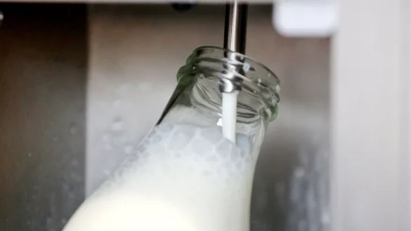 Rohmilch bekommt man direkt ab Hof. (Archivbild) - &copy; Roland Weihrauch/dpa