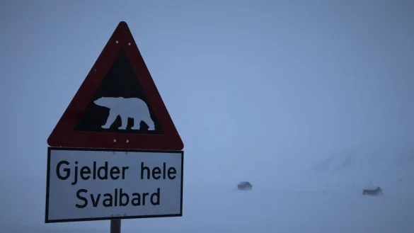 Ein Schild warnt auf Spitzbergen vor Eisb&auml;ren. (Symbolbild) - &copy; Steffen Trumpf/dpa