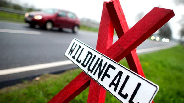 Ein Warnschild an der Stelle eines Wildunfalls in Deutschland. (Symbolbild) - &copy; Hauke-Christian Dittrich/dpa