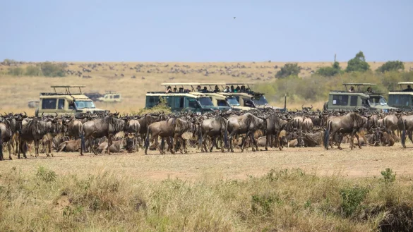 Die Kritik am Verhalten mancher Besucher und die Sorge vor &Uuml;bertourismus zum Schaden des &Ouml;kosystems nehmen zu. - &copy; Han Xu/XinHua/dpa
