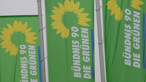 Bundesweit verbuchen die Grünen Tausende Neueintritte. (Archivbild) - © Karl-Josef Hildenbrand/dpa