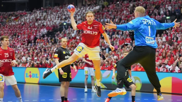 Die deutschen Handballer haben bei der WM gegen Gold-Favorit Dänemark verloren. - © Sören Stache/dpa