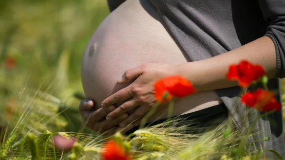 Hitze kann für Schwangere gefährlich werden. (Archivbild) - © picture alliance / ZB