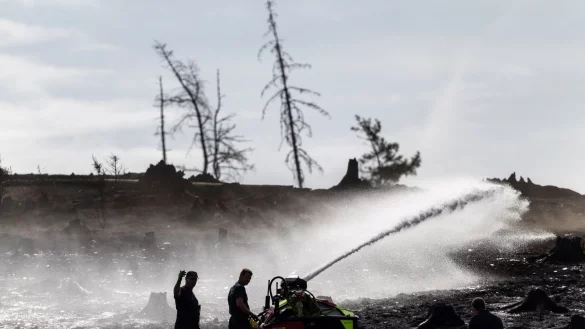 Feuerwehrleute bekämpfen versteckte Glutnester beim Waldbrand auf der Saalfelder Höhe. - © Michael Reichel/dpa