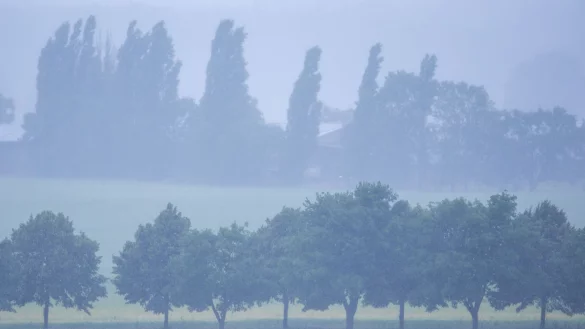 Im Nordosten Deutschlands wird heftiger Regen erwartet. (Archivbild) - © Jens Büttner/dpa