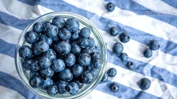 Beeren statt Chips oder N&uuml;sschen: Heidelbeeren, auch Blaubeeren genannt, liegen auf einem Esstisch und werden gern gesnackt. - &copy; Sina Schuldt/dpa