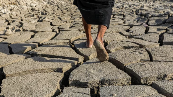 Das Gebiet um den Euphrat gilt als Wiege der Zivilisation - und vertrocknet. - &copy; Nabil al-Jurani/AP/dpa