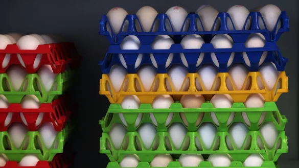 In Deutschland wurden im vergangenen Jahr 20,8 Milliarden Eier verbraucht. - © Karl-Josef Hildenbrand/dpa