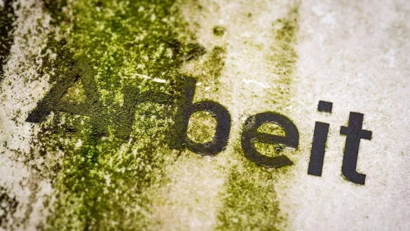 Die richtigen Investitionen könnten laut der Prognose auch den Arbeitsmarkt beleben. - © Sina Schuldt/dpa