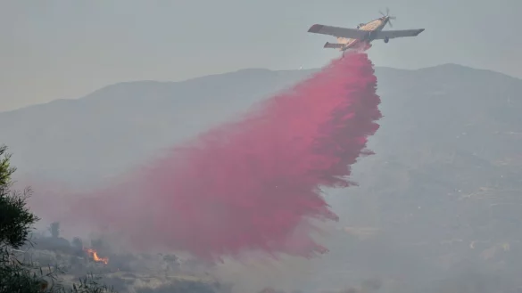 Auf Zypern wird das Wasser knapp - und es gibt immer wieder große Waldbrände. (Archivbild) - © Petros Karadjias/AP/dpa