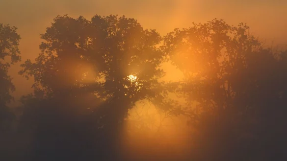 Im Osten bleibt es noch warm und sonnig. - &copy; Patrick Pleul/dpa