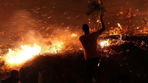 Verzweifelter Kampf gegen die Flammen auf Chios. - © Pantelis Fykaris/Politischios.gr/AP/dpa