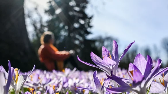 In den kommenden Tagen soll es in Deutschland bis zu 20 Grad werden. - © Jens Kalaene/dpa